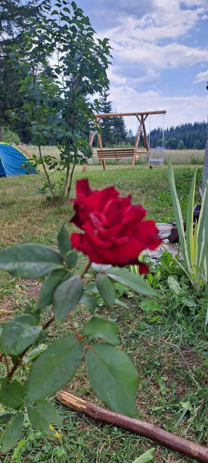 Eco Village Podgora Household Kaljevic Žabljak Eksteriør bilde
